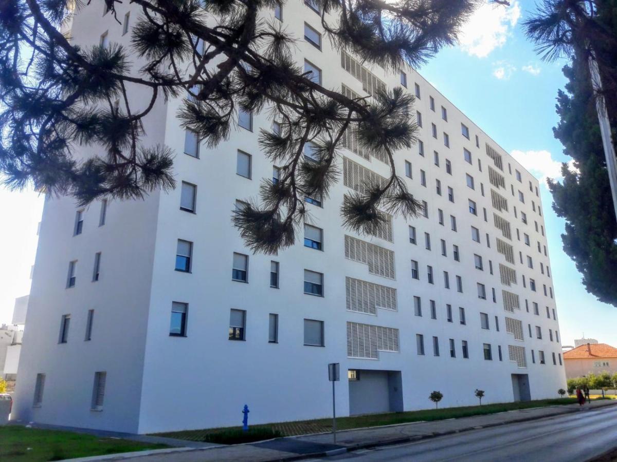 Studio Apartman Moonlight Zadar Eksteriør billede